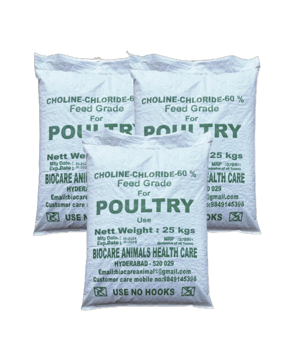 Product 6 - CHLORINE CHLORIDE
